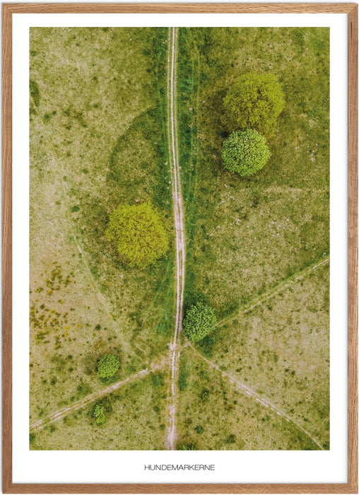 Hundemarkerne No. 1 Plakat