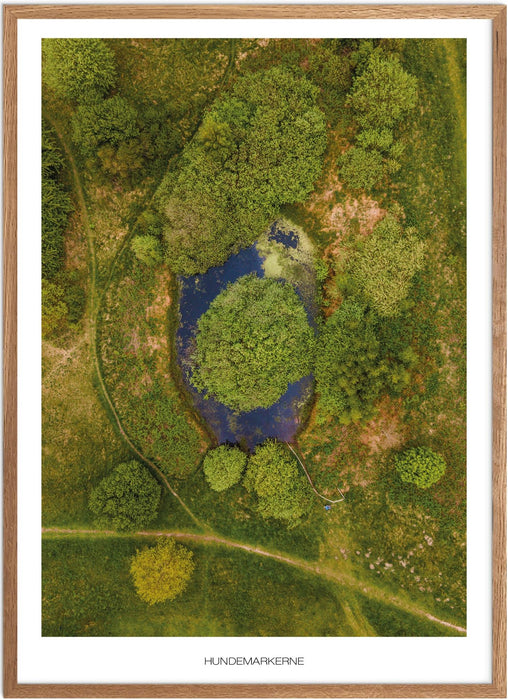 Hundemarkerne No. 2 Plakat