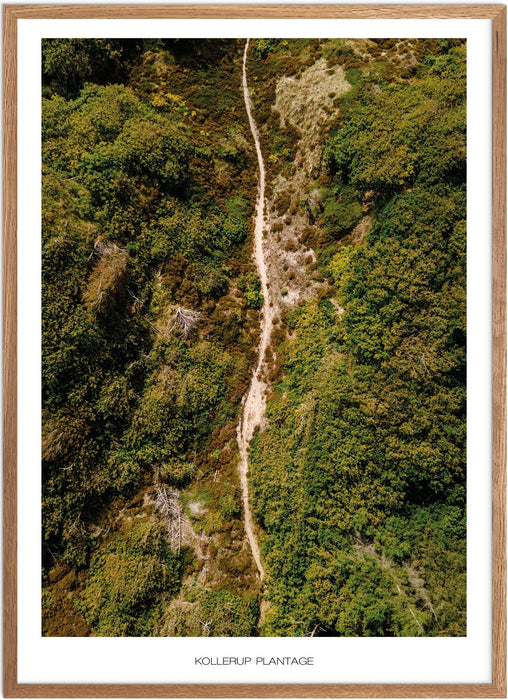 Kollerup Plantage Plakat