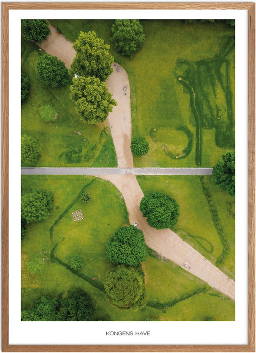 Kongens Have (Odense) Plakat