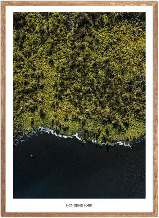 Kongens Kær Plakat - Plakatsnedkeren