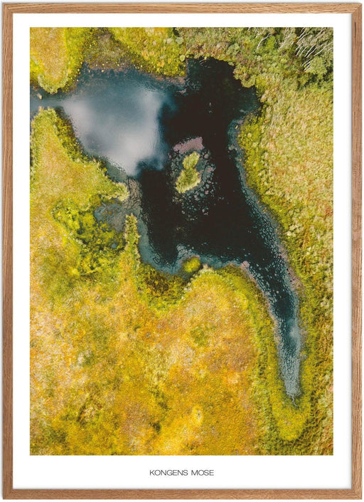 Kongens Mose Plakat