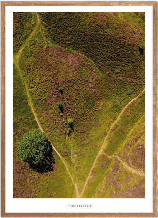Legind Bjerge Plakat