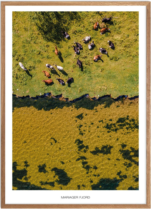 Mariager Fjord No. 2 Plakat