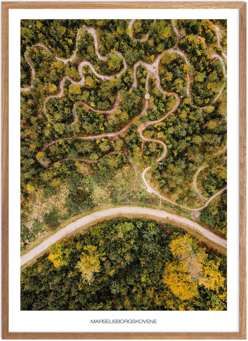 Marselisborgskovene No.2  Plakat - Plakatsnedkeren