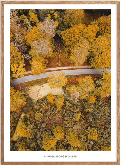 Marselisborgskovene No.1 Plakat - Plakatsnedkeren