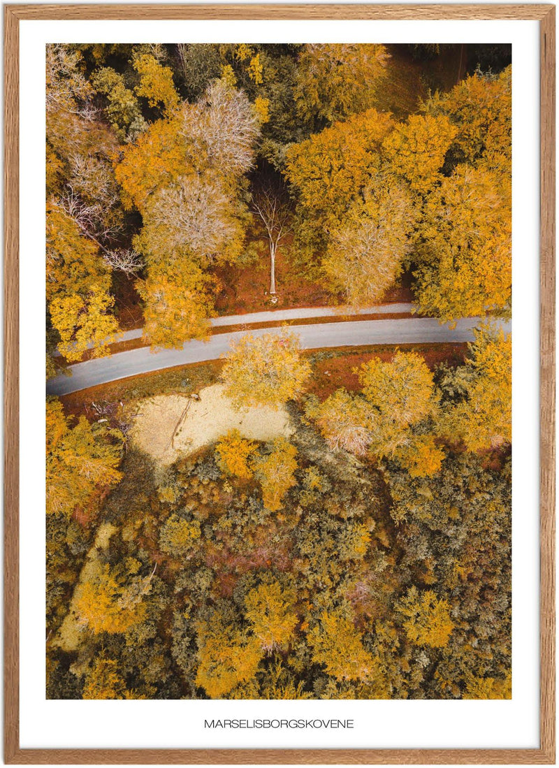 Marselisborgskovene No.1 Plakat - Plakatsnedkeren