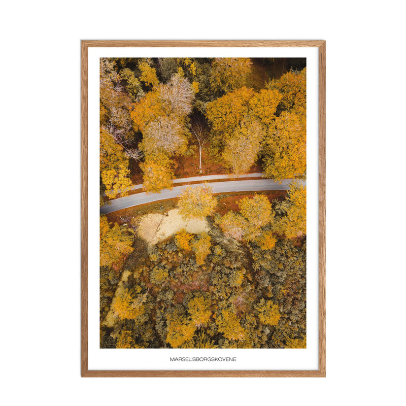 Marselisborgskovene No.1 Plakat - Plakatsnedkeren
