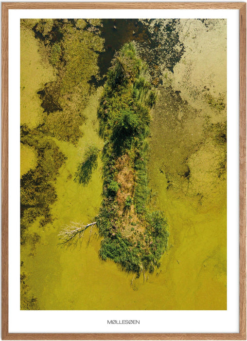 Møllesøen (Lemvig) Plakat