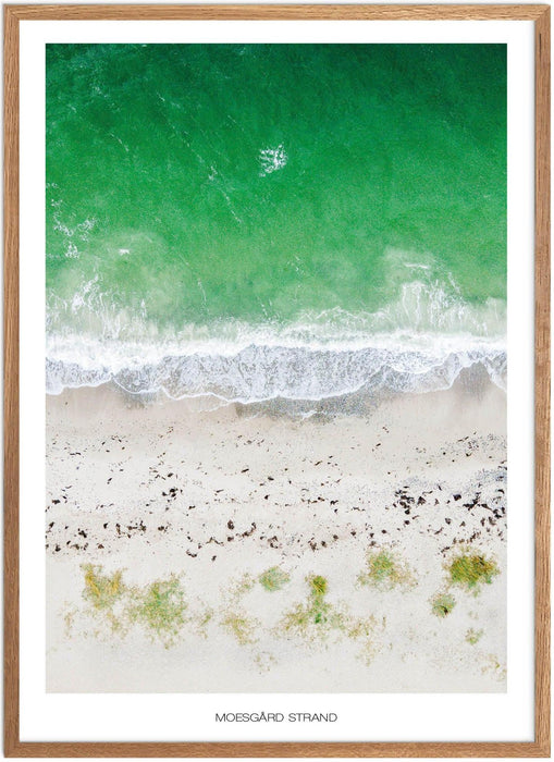 Moesgård Strand Plakat - Plakatsnedkeren