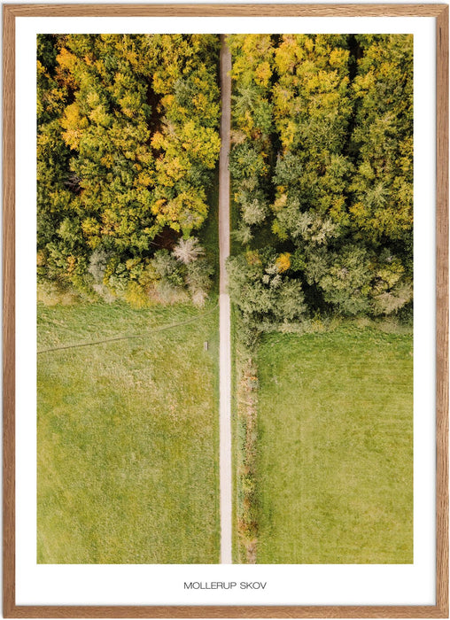 Mollerup Skov Plakat