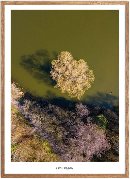 Møllesøen No. 1 Plakat - Plakatsnedkeren