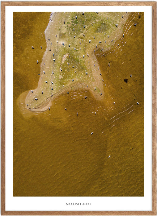 Nissum Fjord Plakat