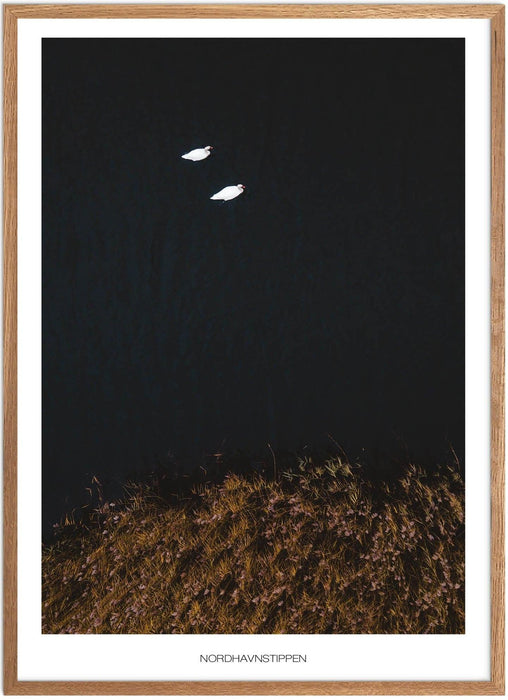 Nordhavnstippen No.2 Plakat - Plakatsnedkeren