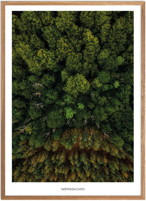 Nørreskoven Plakat