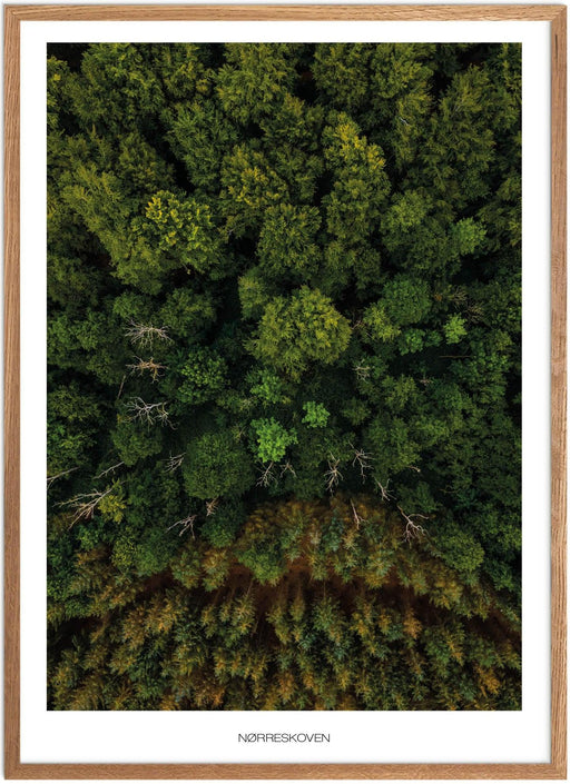 Nørreskoven Plakat
