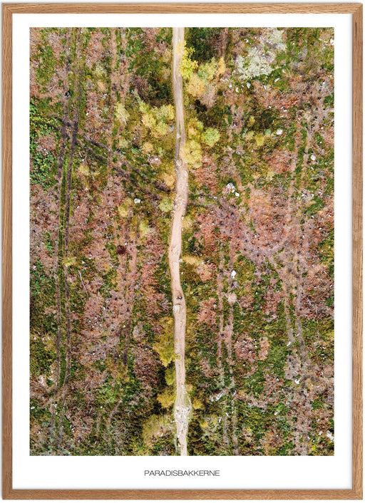 Paradisbakkerne Plakat No.2 - Plakatsnedkeren