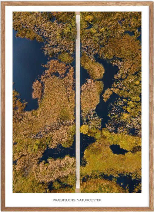 Præstbjerg Naturcenter No. 1 Plakat
