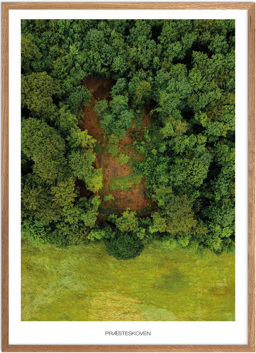 Præsteskoven Plakat