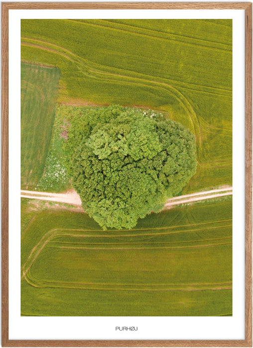 Purhøj Plakat