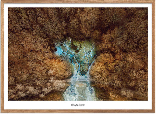 Ravnkilde Plakat