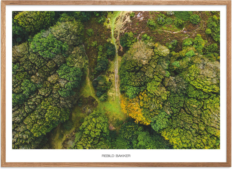 Rebild Bakker Plakat