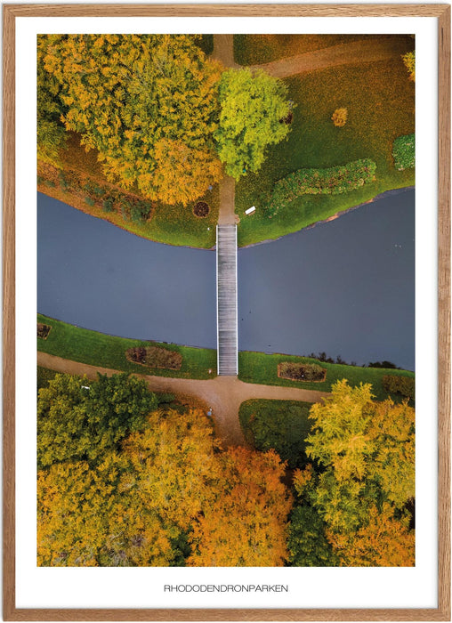 Rhododendronparken No. 1 (Brønderslev) Plakat
