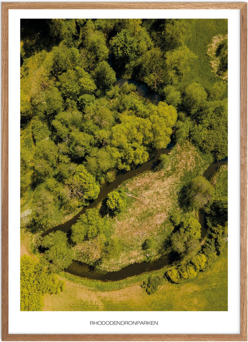 Rhododendronparken (Køge) Plakat