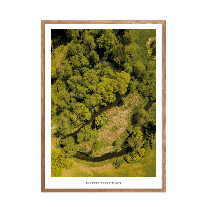 Rhododendronparken (Køge) Plakat
