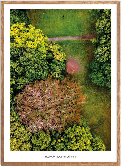 Risskov Hospitalspark No.1 Plakat - Plakatsnedkeren