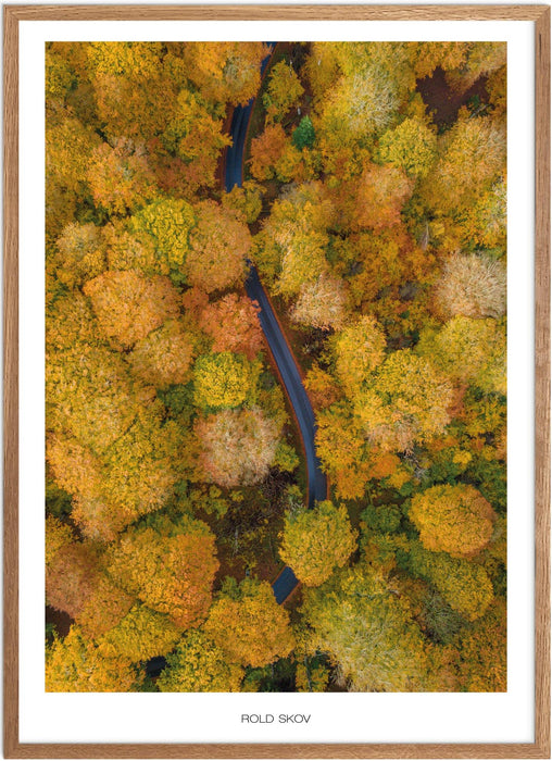 Rold Skov No. 2 Plakat