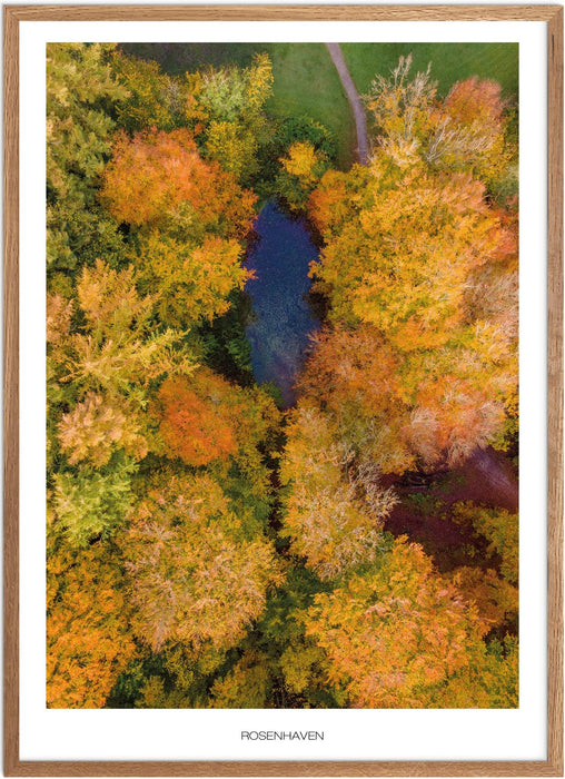 Rosenhaven No. 1 Plakat