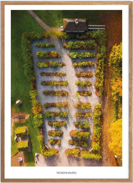 Rosenhaven No. 2 Plakat