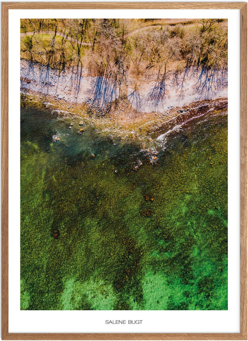 Salene Bugt Plakat