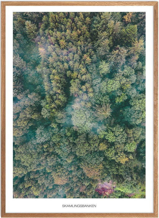 Skamlingsbanken Skov Plakat