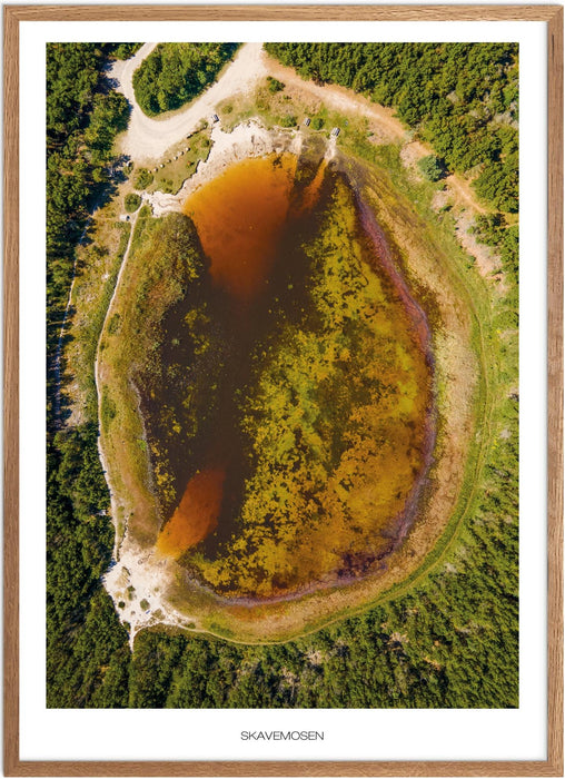 Skavemosen Plakat