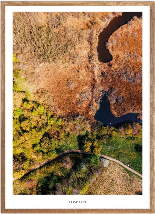 Sømosen No. 2 Plakat