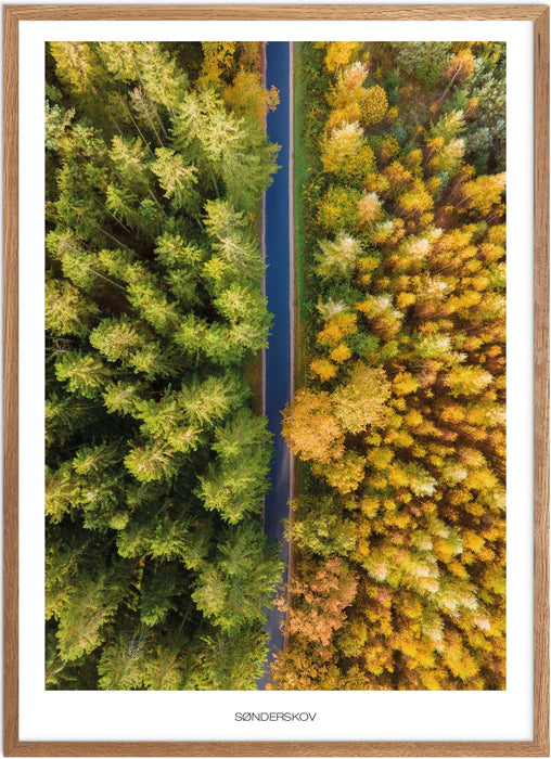 Sønderskov (Bælum) Plakat