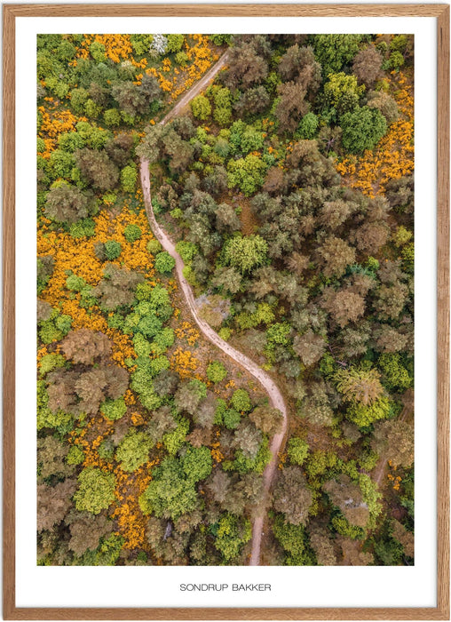 Sondrup Bakker Plakat