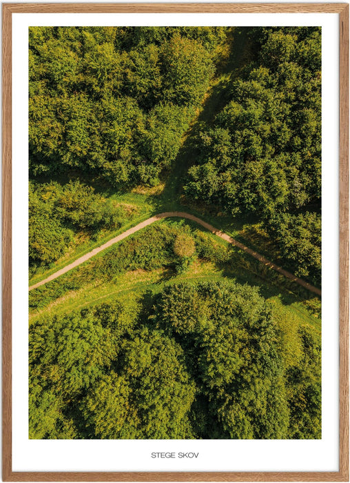 Stege Skov Plakat