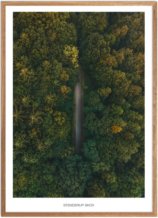 Stenderup Skov Plakat