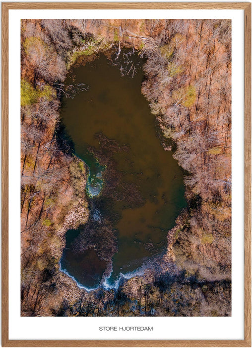 Store Hjortedam Plakat