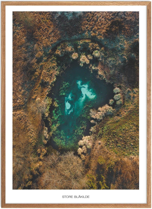 Store Blåkilde Høj Plakat - Plakatsnedkeren