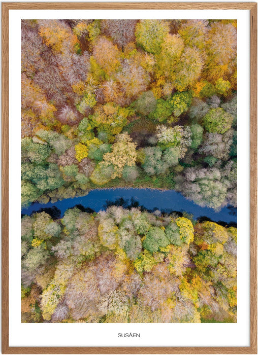 Susåen No. 3 Plakat