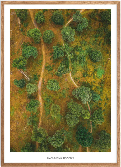 Svanninge Bakker Plakat