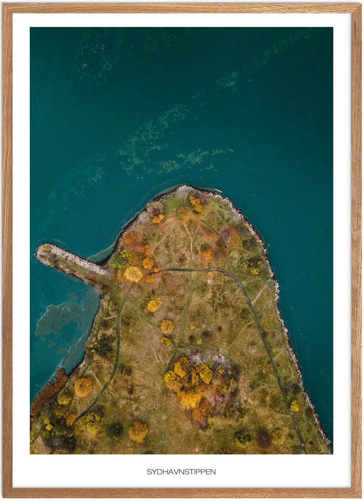 Sydhavnstippen Plakat - Plakatsnedkeren