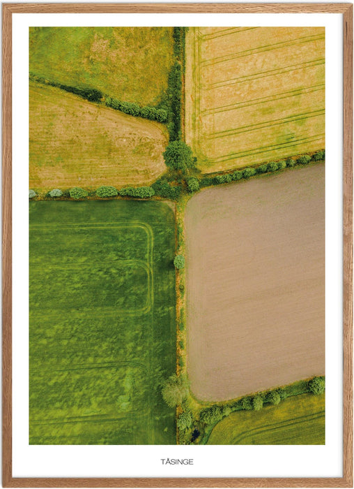 Tåsinge No. 1 Plakat