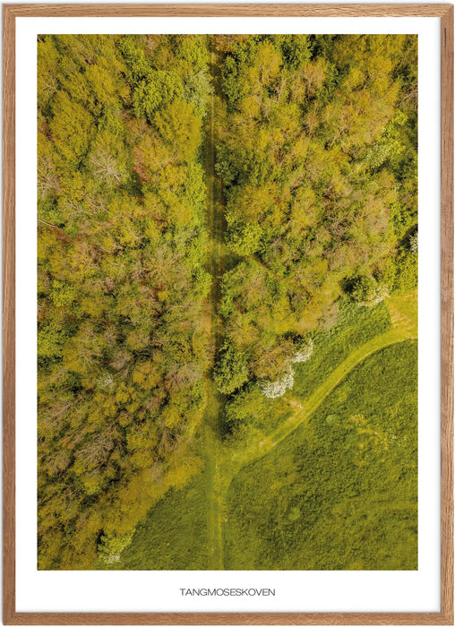 Tangmoseskoven Plakat