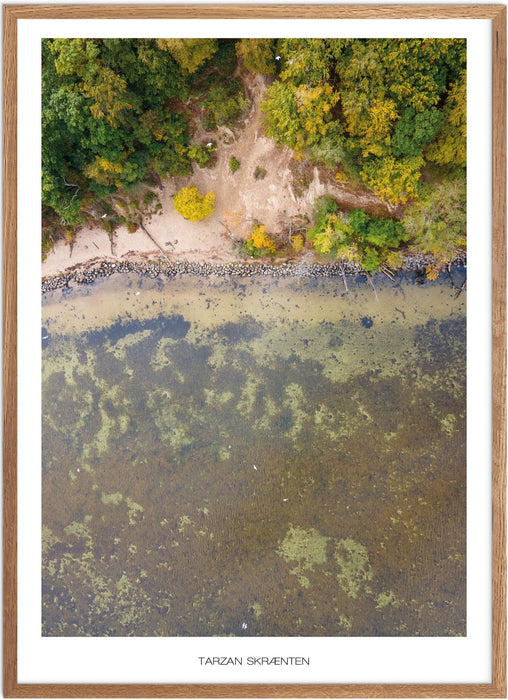 Tarzan Skrænten Plakat