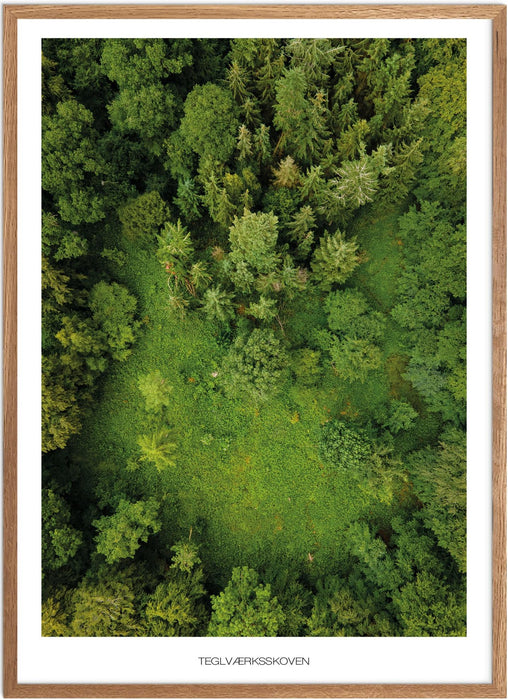 Teglværksskoven Plakat